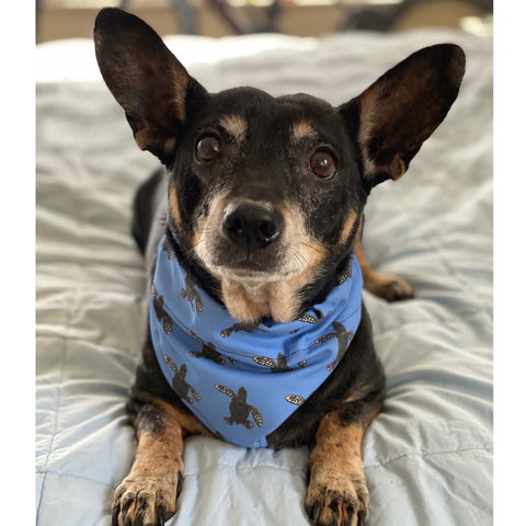 Dog Bandanas