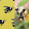Bee Surface Pattern Design