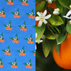 Oranges surface pattern design