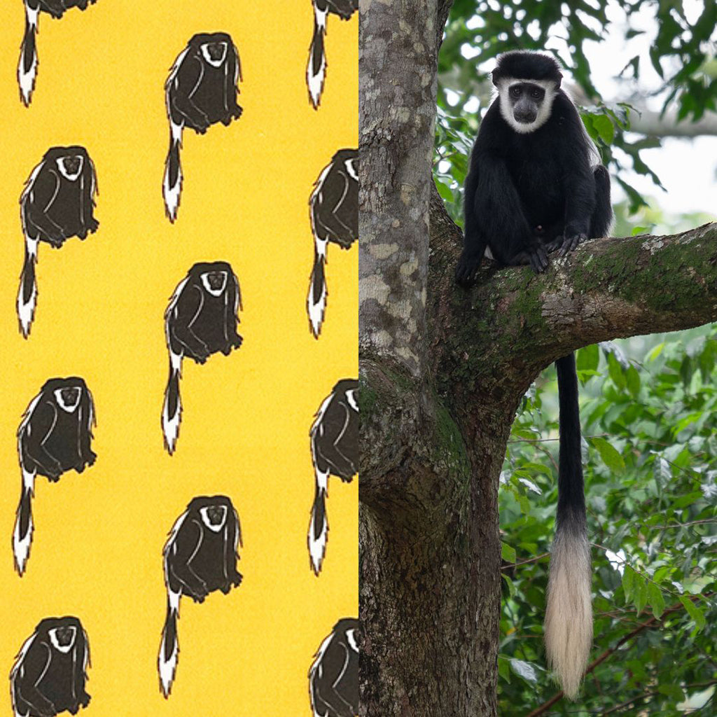 Black and white Colobus Monkey Print