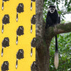 Monkey Surface Pattern Design