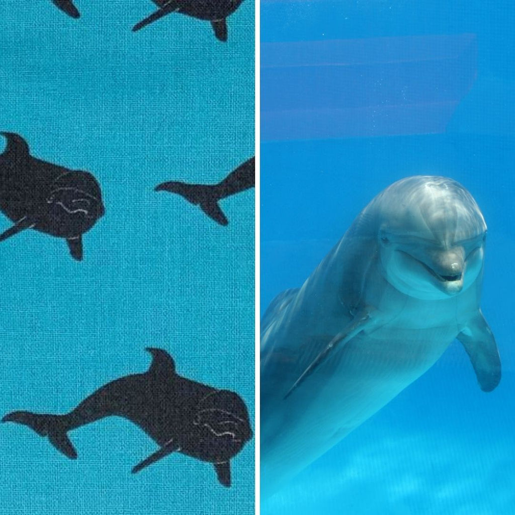 Dolphin Surface Pattern