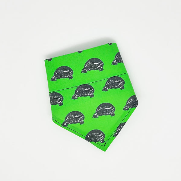 Gopher Tortoise Dog Bandana