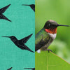 Hummingbird surface design