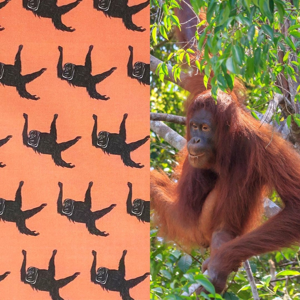 orangutan surface design