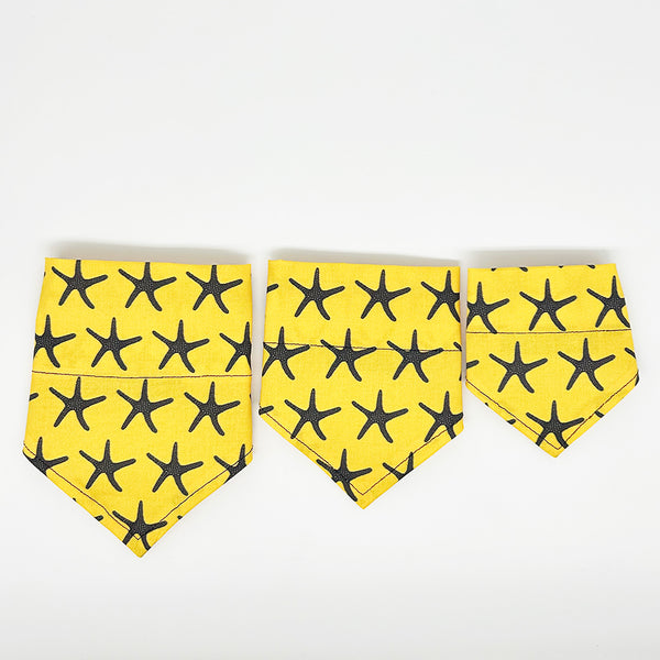 Sea Star Dog Bandana