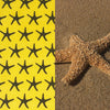Sea Star Surface Design