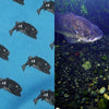 Largemouth Bass Fish Surface Pattern