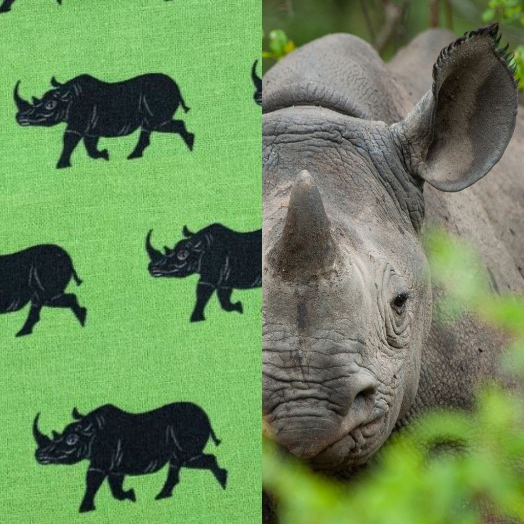 Rhinoceros surface design