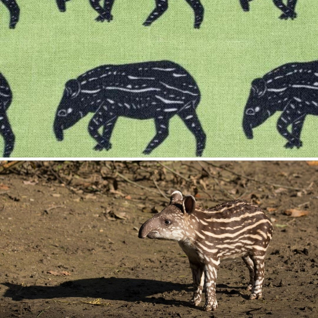 tapir surface pattern
