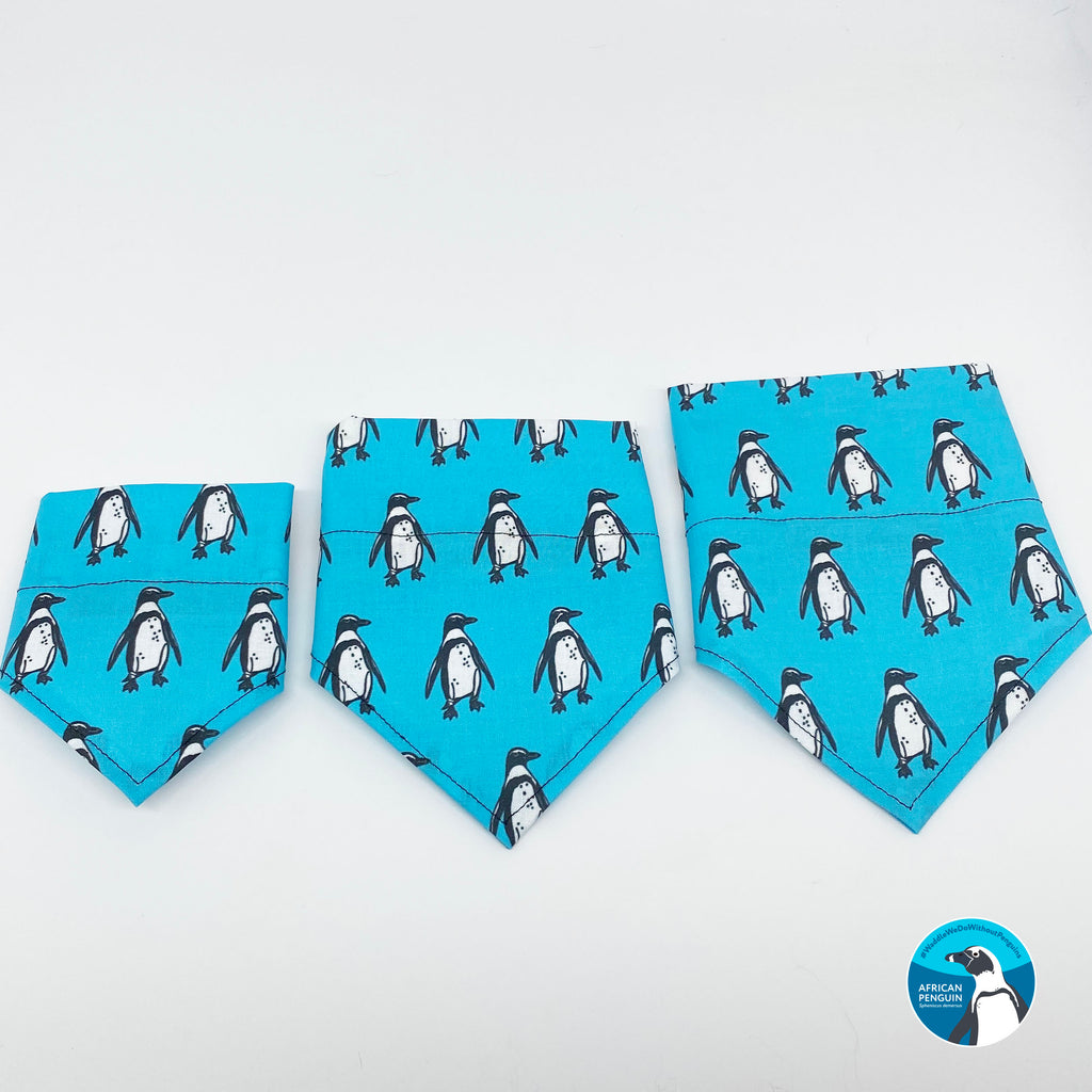 African Penguin Bandana