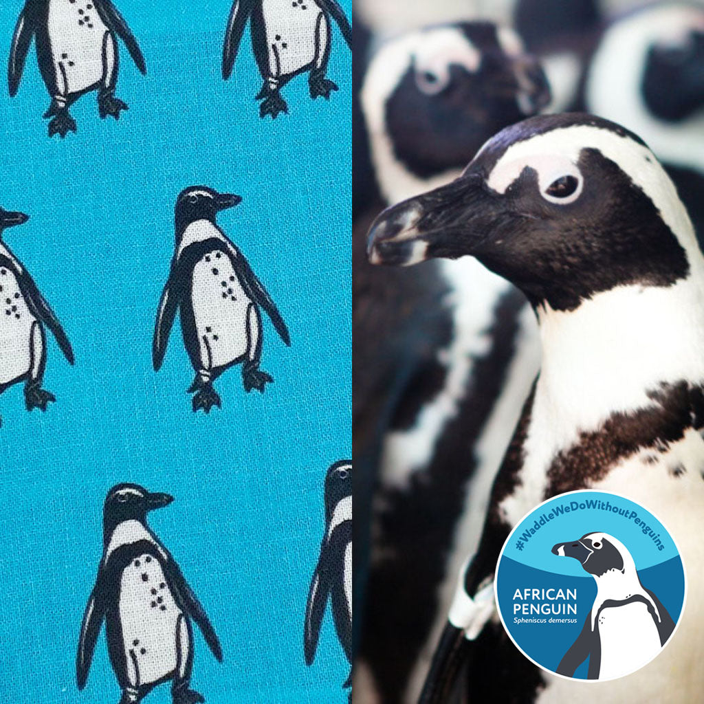 African Penguin Print