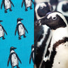 Penguin Surface Design