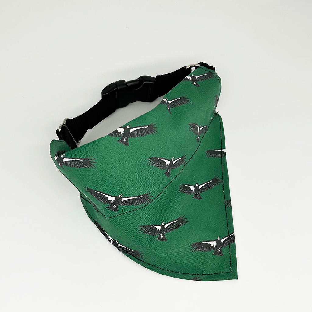 Condor Bandana