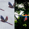macaw fabric