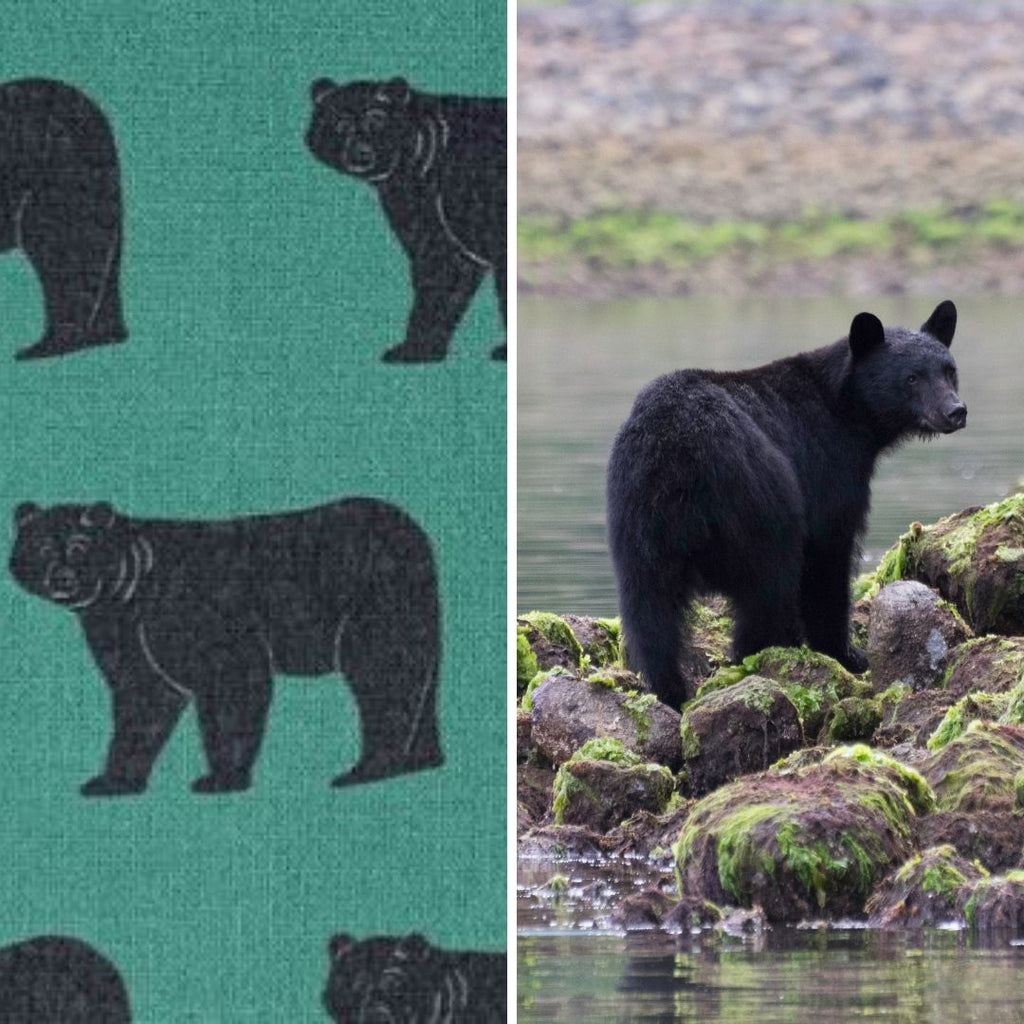 Bear Fabric