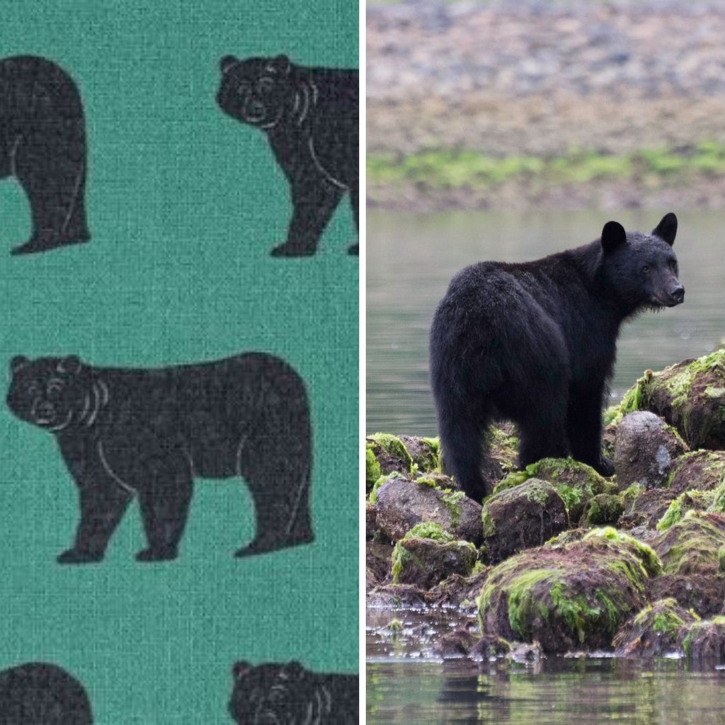 bear fabric