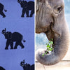 elephant fabric