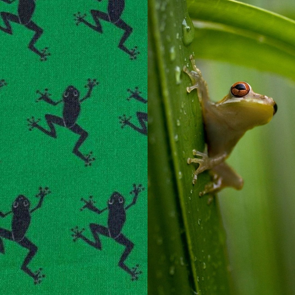 frog fabric