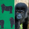 Grauer's gorilla fabric