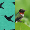 Hummingbird fabric