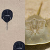 horseshoe crab fabric