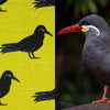 inca tern fabric