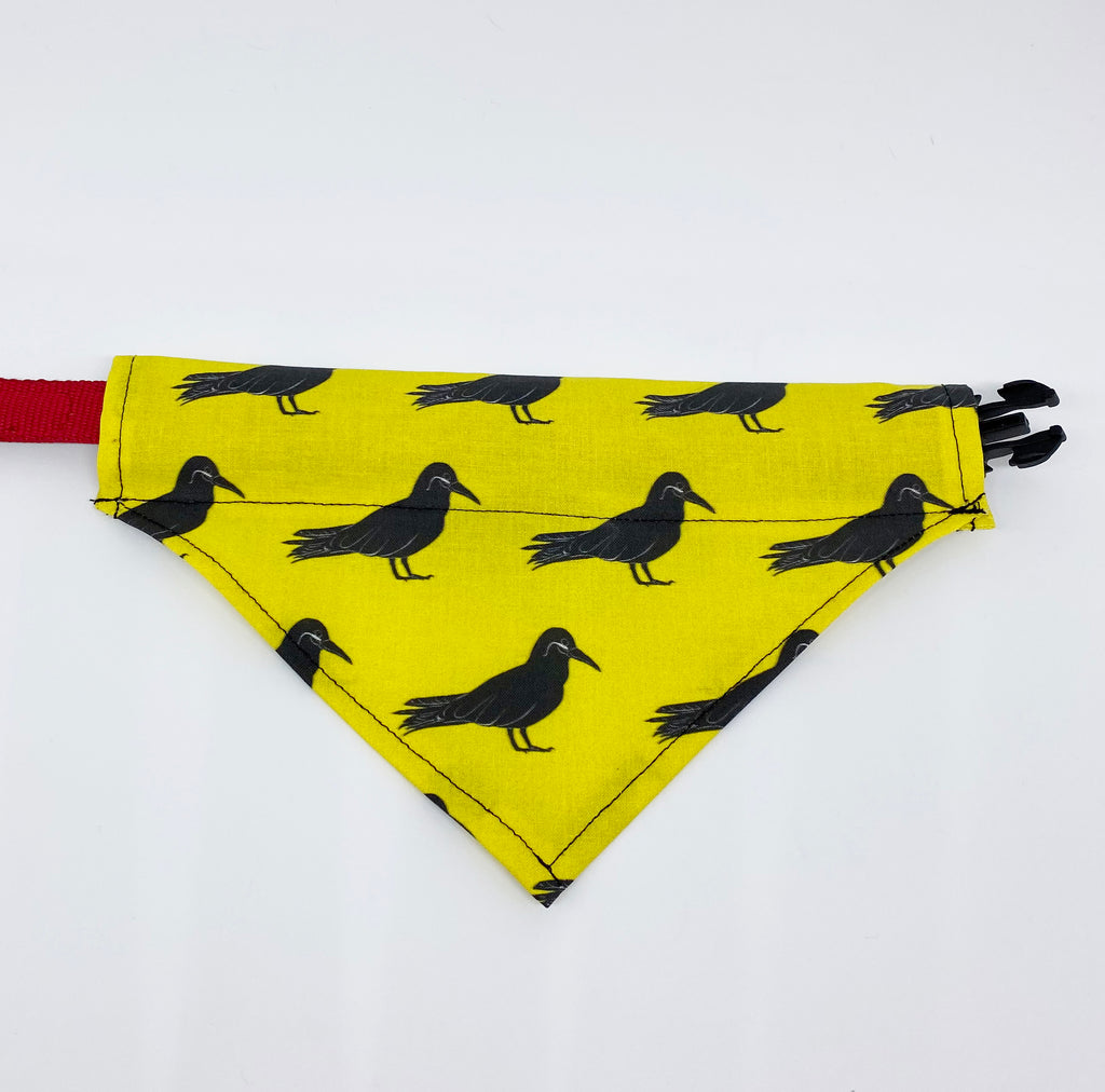 dog banana with birds