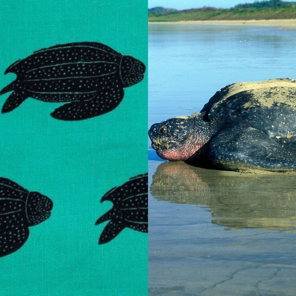 Leatherback Sea Turtle fabric