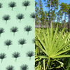 Saw Palmetto fabric