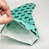Sea Turtle Stocking