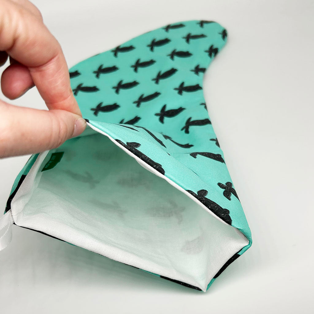 Sea Turtle Stocking