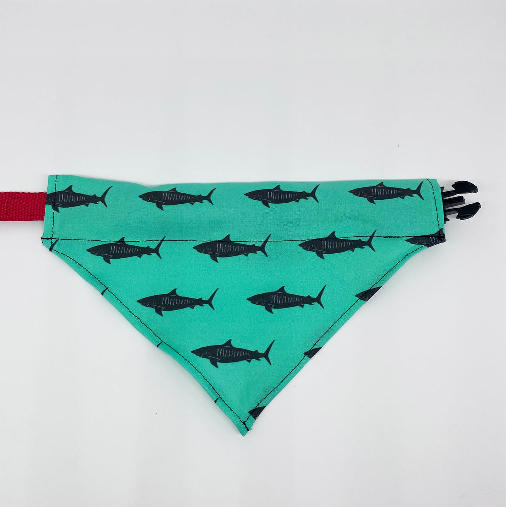 Tiger Shark Dog bandana