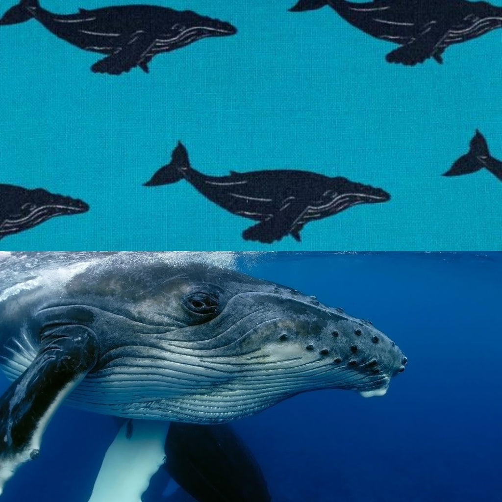 Humpback Whale surface pattern design