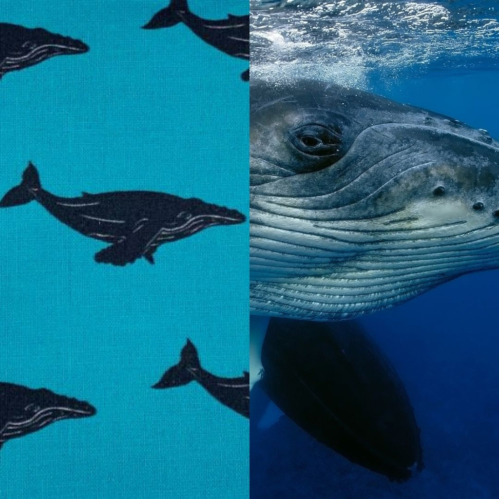 humpback whale fabric