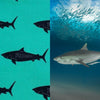 tiger shark fabric