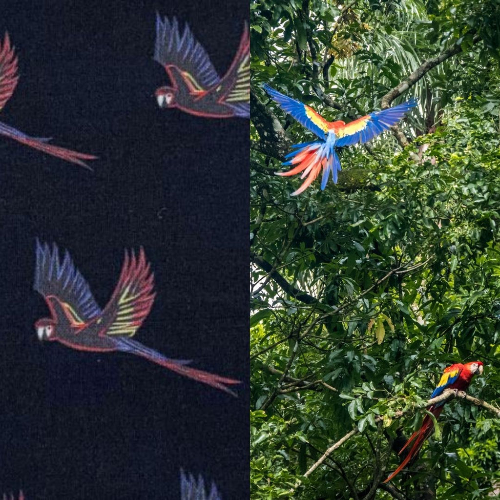 macaw fabric