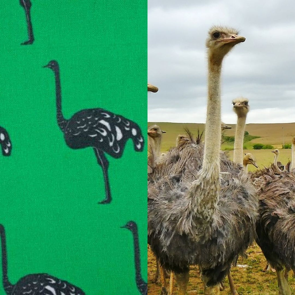 ostrich fabric