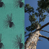 Pine Cone surface pattern design
