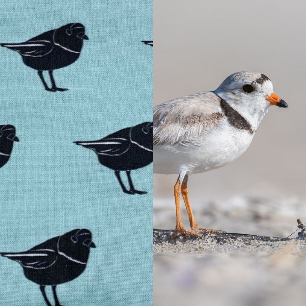 Piping Plover fabric