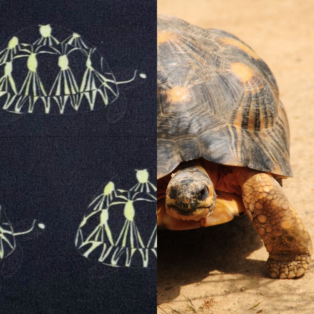 radiated tortoise fabric