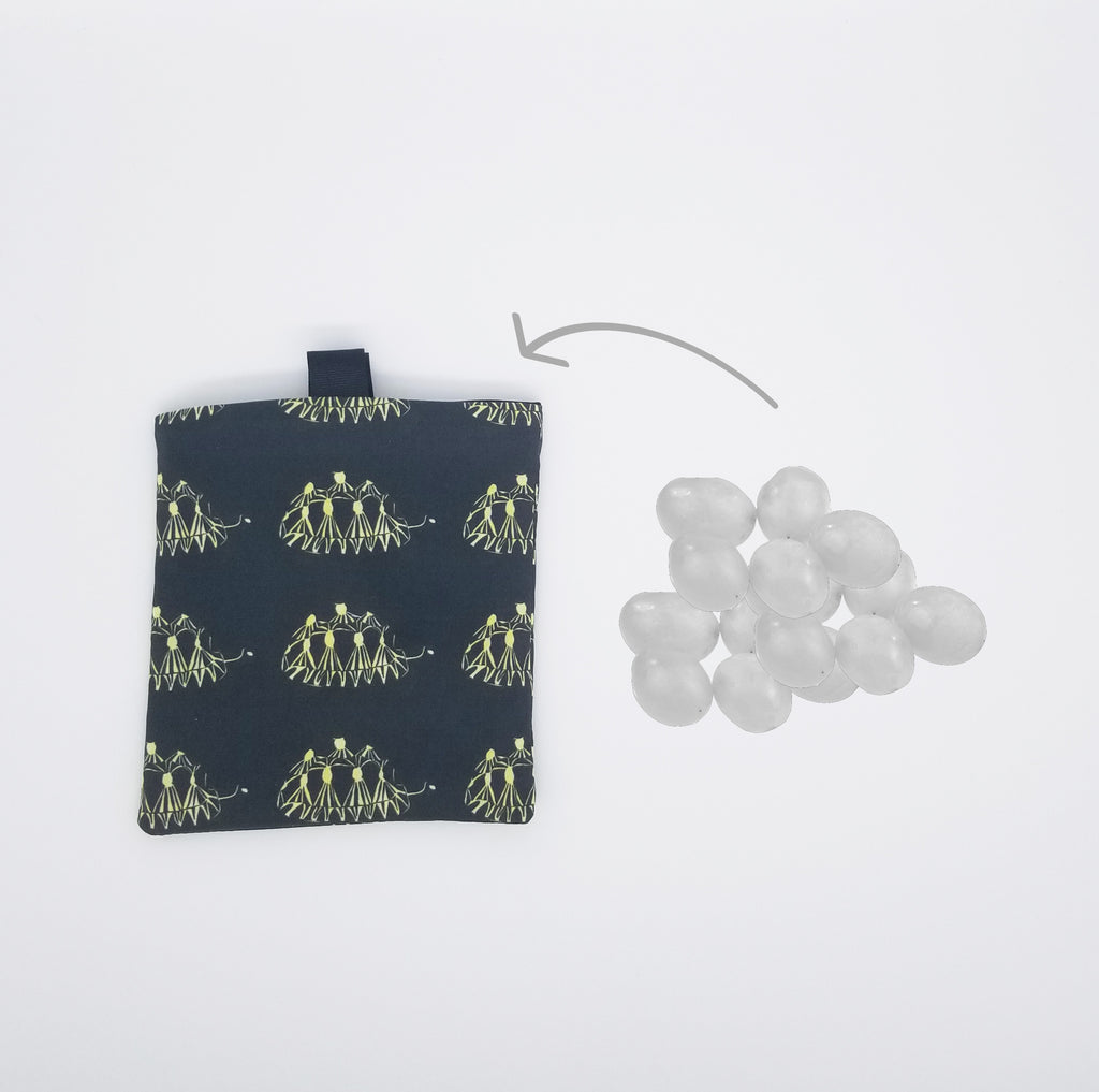 radiated tortoise snack bag