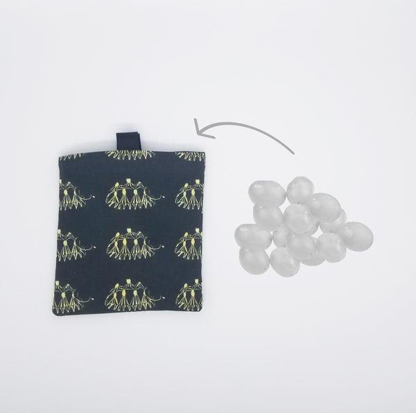 radiated tortoise snack bag