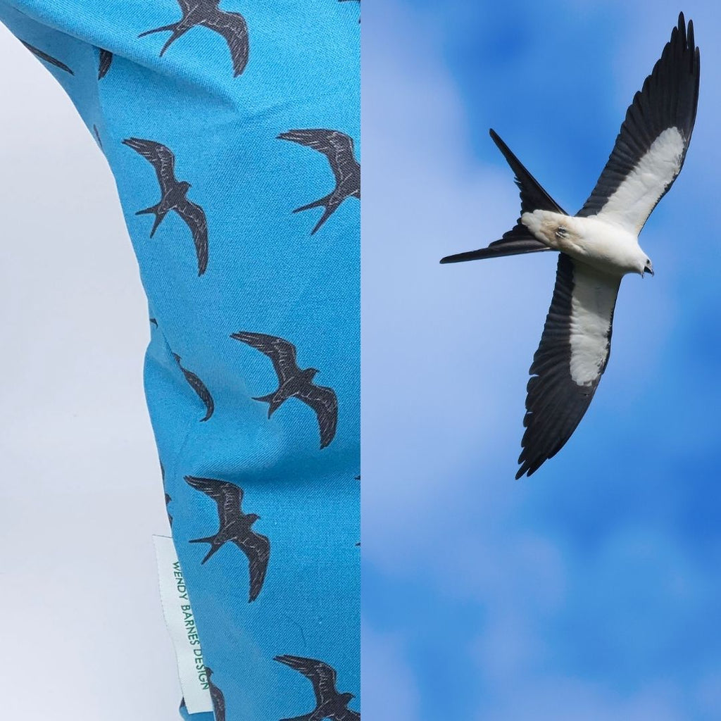 Swallow-tailed Kite pattern