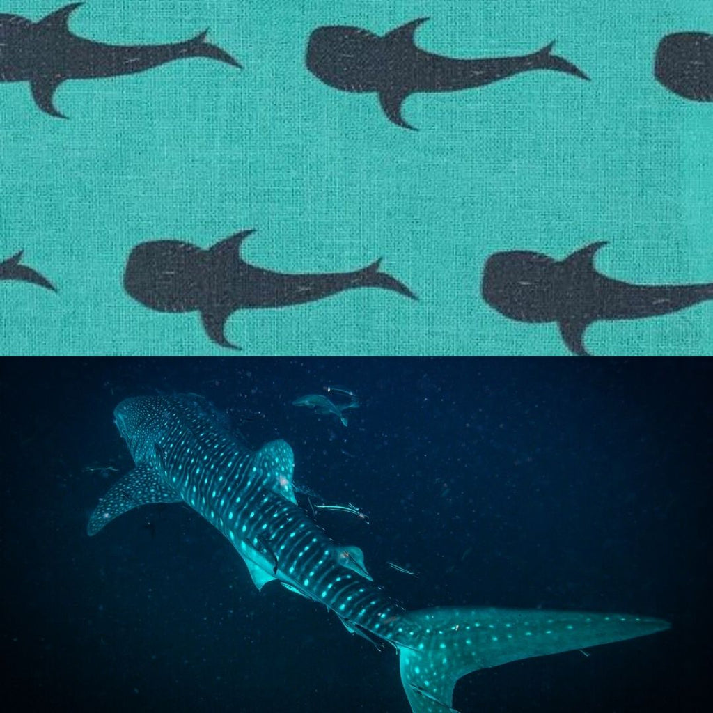 whale shark fabric