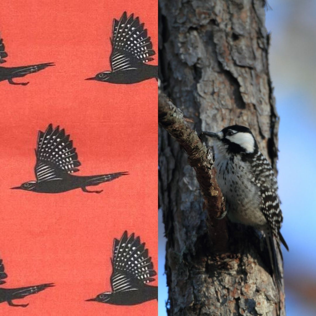 Woodpecker print