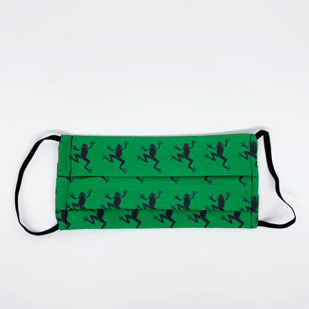 frog mask