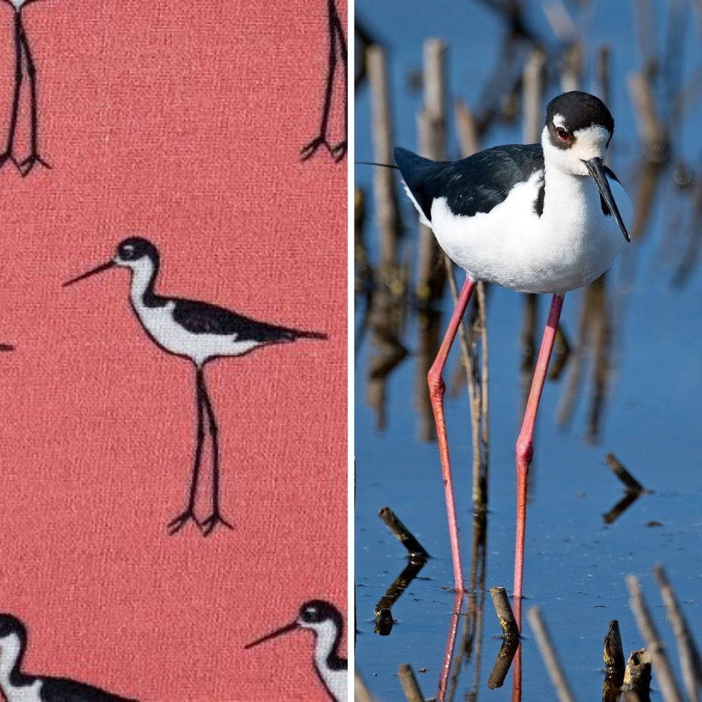 black-necked stilt fabric